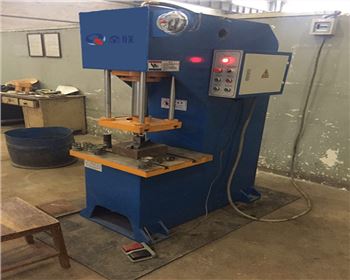 陝西(xi)奇力實業有限責(zé)任公司